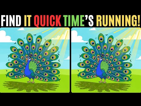 Видео: Найди отличия 🧩 Грандиозный марафон головоломок! 🔍 Готовы? 🧠🎯 #145