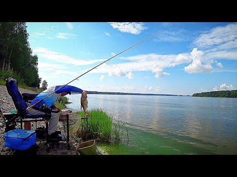Видео: Чемпионат Тверской области по ловле фидером, feeder fishing!