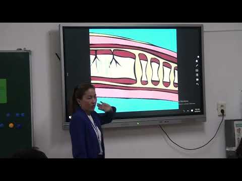 Видео: Құлымбетова Акбота