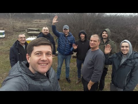 Видео: Golden Bee, я был в шоке от увиденого.