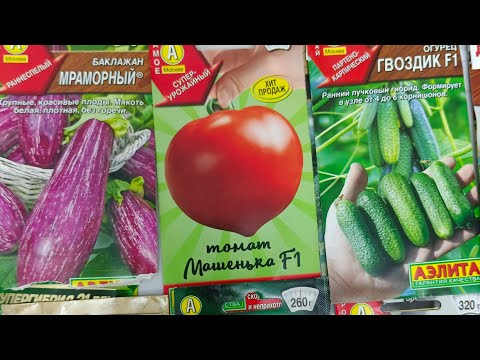 Видео: Көшет егуге тұқым (дән)  таңдау. Қызанақ сорттары.  Қияр сорттары