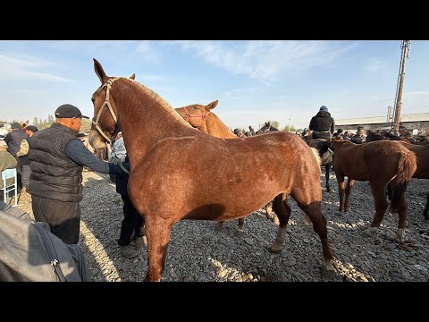 Видео: ӨСПҮРҮМ РАБОЧИЙ АТТАР ЧЫКТЫ 🤯 #байтв 