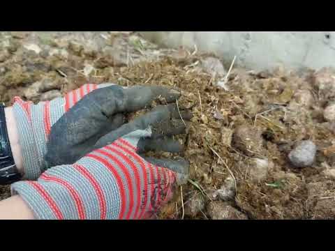 Видео: Готовим грядку под огурцы и томаты. Улучшаем плодородие почвы.