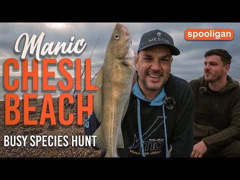 Видео: Пляж Маник-Чесил — рыбалка на Спулиган — охота на интересные виды