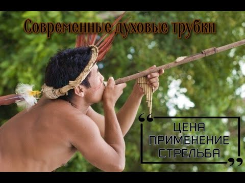 Видео: Духовая трубка. Centershot Venom 122cv/