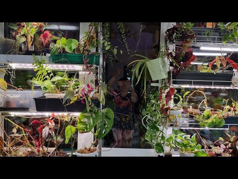 Видео: Новые стеллажи на окно