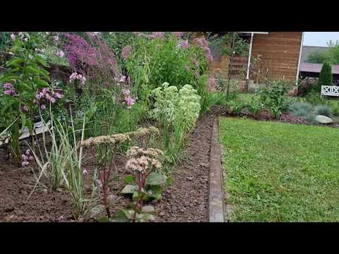 Видео: ЦВЕТНИК С НУЛЯ в природном стиле. Подбор растений.
