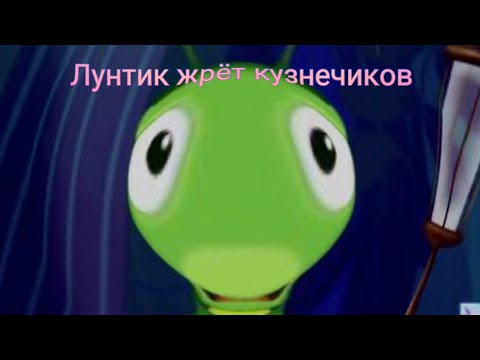Видео: МУД Лунтик №3