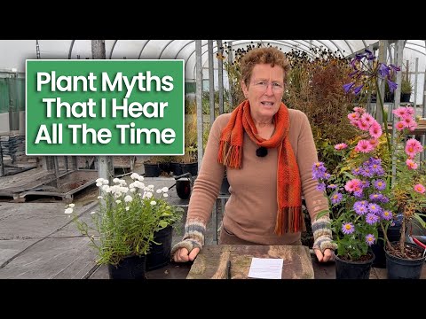 Видео: 5 мифов о растениях, в которые вы можете поверить