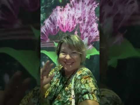 Видео: Сингапур. Сады у залива. Clood Forest и Flower Dom 