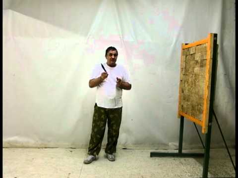 Видео: "Введение в СКАНФ" (Ю.Федин)