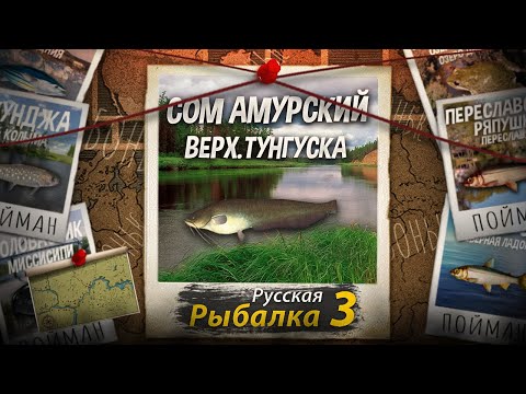 Видео: "Мутант" Сом Амурский. Верхняя Тунгуска. Русская рыбалка 3.