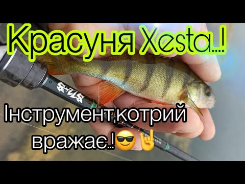 Видео: ОГЛЯД на Xesta TZ tuned s 72s…!!