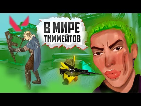 Видео: В МИРЕ ТИММЕЙТОВ [Valorant]