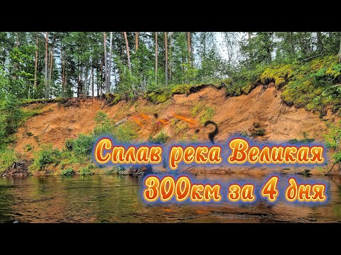 Видео: Сплав река Великая 300км 8-я часть