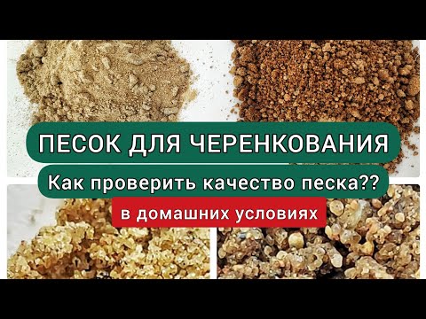 Видео: Песок для черенкования|Проверяем подходит ли песок, который у нас есть для растений.Эксперимент дома