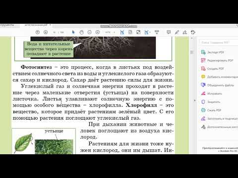 Видео: Урок 5. Как работают листья растений. Естествознание. 3 класс.