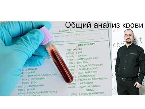Видео: Общий анализ крови