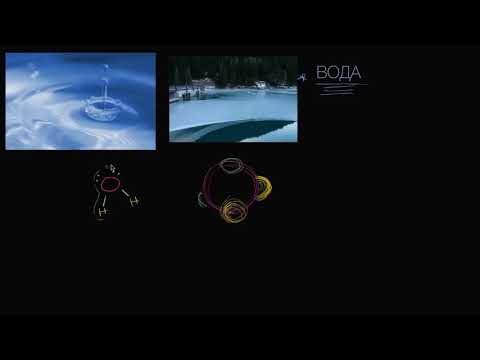 Видео: Водородные связи между молекулами воды (видео 1) | Биологическая роль воды | Биология