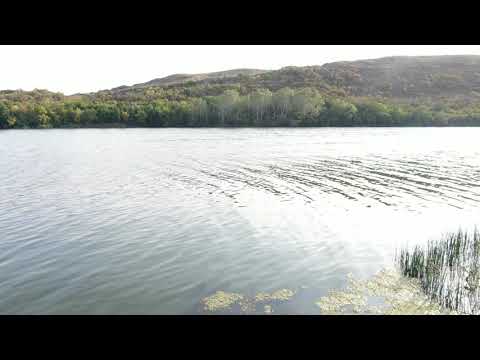 Видео: дмитрий лукьянов