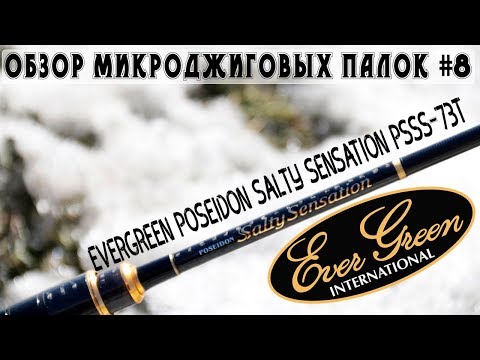 Видео: Обзор микроджиговых палок #8 Evergreen Poseidon Salty Sensation PSSS-73T