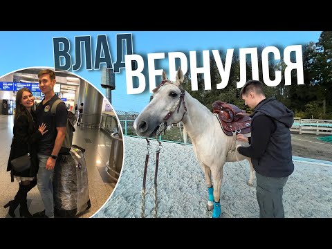 Видео: Снова все вместе! | Первые дни на конюшне