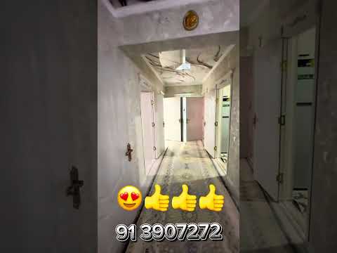 Видео: 13 ноября 2025 г.