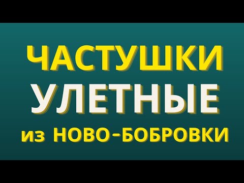 Видео: Частушки смешные от Екатерины Степановны решают проблемы с настроением | Гармонист Владимир Кузнецов