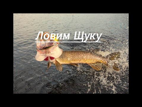 Видео: Жор КРУПНОЙ ЩУКИ!! Ловля Щуки в Октябре.