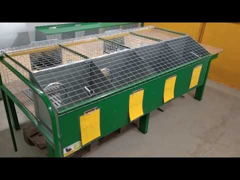 Видео: КЛЕТКА ДЛЯ КРОЛИКОВ маточно-откормочная 4х местная.