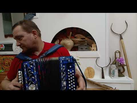 Видео: КРЕМАТОРИЙ! МУСОРНЫЙ ВЕТЕР! ИНСТРУМЕНТАЛКА НА ГАРМОНИ!....(в конце............кошка)