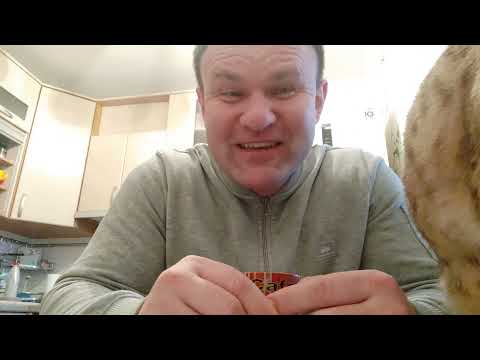 Видео: иХорь ВОЙтенко жизнь в США .