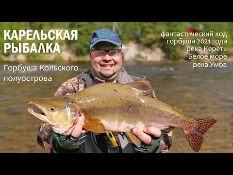 Видео: Карельская рыбалка. Горбуша Кольского полуострова.