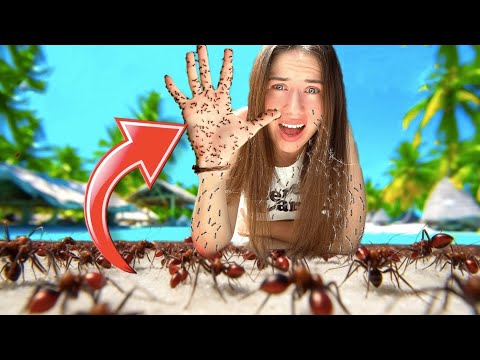 Видео: ОНИ ВЕЗДЕ! На Мальдивах Напали Насекомые - Испортили Отдых | Elli Di