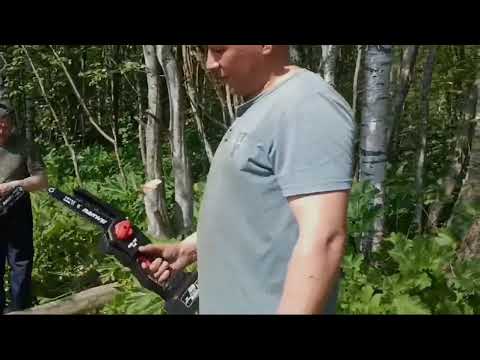 Видео: Обзор пила Nanwei 8" и 12"