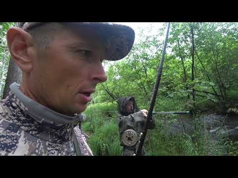 Видео: Хариус речки Федосеиха.