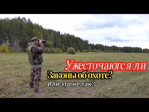 Видео: Ужесточаются ли законы об охоте?