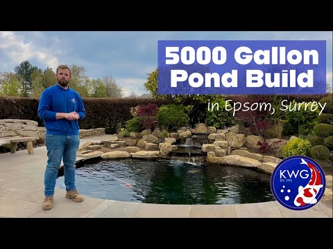 Видео: Как построить пруд для карпов кои за 17 дней! — Строительство пруда KWG объёмом 5000 галлонов в Э...