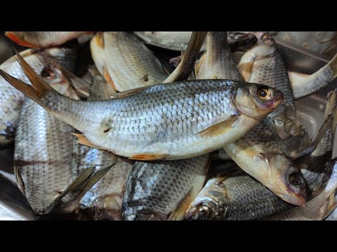 Видео: РЕЦЕПТ ДЛЯ ЛЮБИТЕЛЕЙ ПИВА. ВЯЛЕНАЯ ПЛОТВА ОТ САНИ С МАЛИНОВОЙ