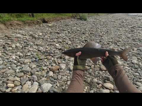 Видео: Сплав и рыбалка на р. Лемва.  Попали на кладбище ГУЛАГа. 08.2023 Часть 4.