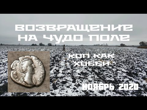 Видео: Возвращение на Чудо Поле. Находки разных эпох ждали нас. Денарий, Полтораки.