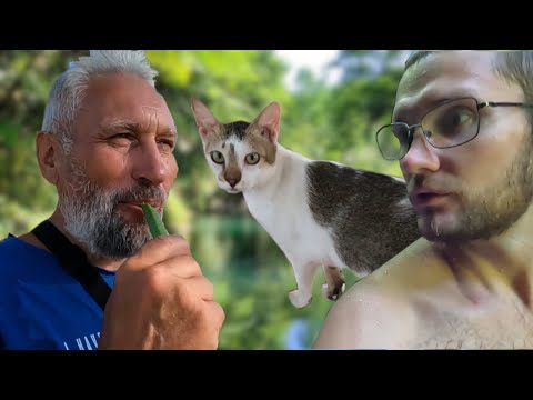 Видео: Потеряли Петровича | Первый урожай | Заброшенный резорт | Жизнь с филиппинкой в деревне