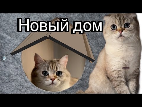 Видео: Дом Мисы! (часть 1 и 2)