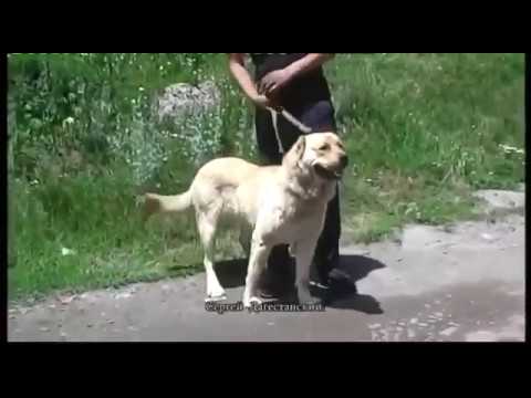 Видео: ►Город Ниноцминда Джавахетия «Ջավախք» Грузия!◄