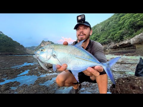 Видео: Бешеный клёв на рассвете┃Столько рыбы за один час!