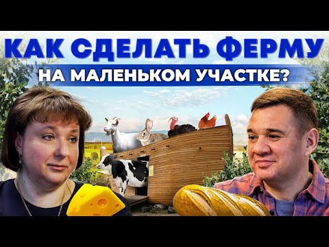 Видео: Как делать домашний хлеб и сыр? Прибыльная и компактная ферма с нуля | Андрей Даниленко