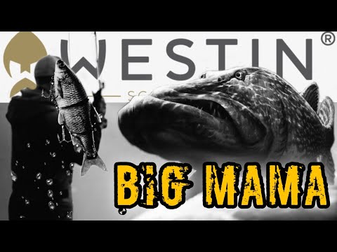 Видео: Оце вдарила! Перший Осінній Трофей.Ловля Щуки Восени.