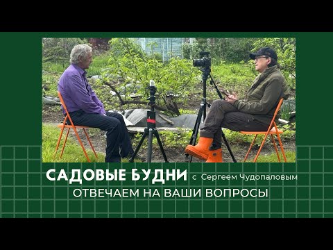 Видео: Садовые Будни с Сергеем Чудопаловым. Отвечаем на Ваши вопросы