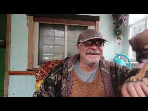 Видео: 24 октября 2025 г. Очень интересно - у всех получается, у меня нет