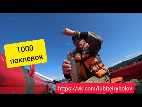 Видео: 1000 И 1 ПОКЛЕВКА. Ловим хариуса на Енисее. Июль 2023г.